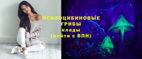 прущие грибы Абинск