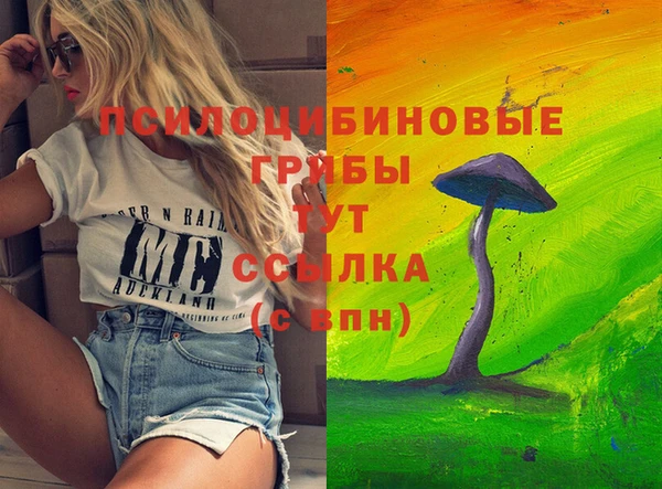 гидра Абдулино