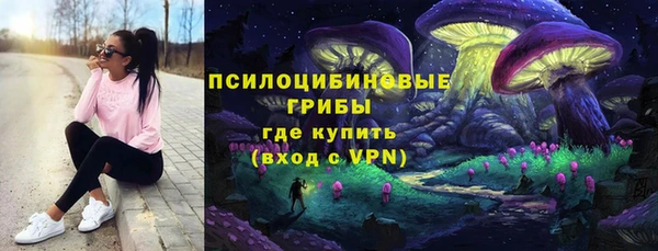 стафф Новокубанск