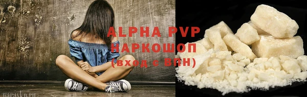 стафф Новокубанск