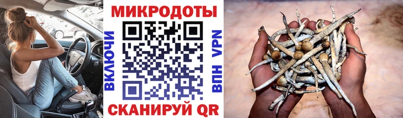 Псилоцибиновые грибы ЛСД  продажа наркотиков  Карталы 