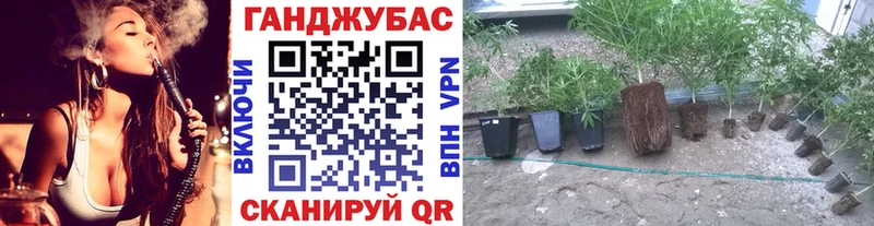 Бошки Шишки гибрид  сайты даркнета как зайти  Карталы  blacksprut ссылки 